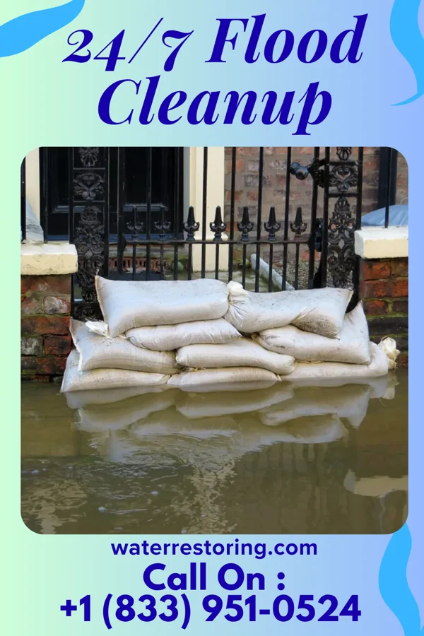 24/7 Flood Cleanup in La Grange, TX