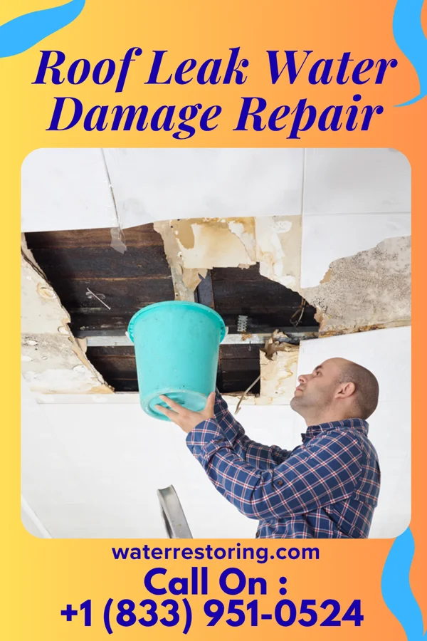 Roof Leak Water Damage Repair in La Grange, TX