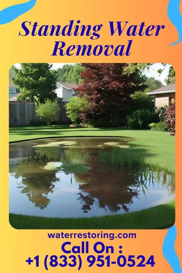 Standing Water Removal in La Grange, TX